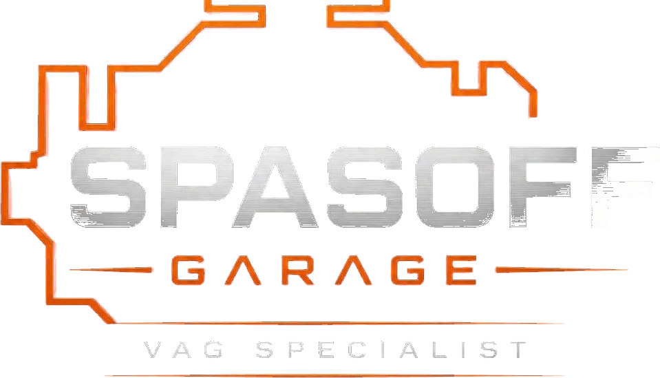 Spasoff Garage, VAG Specialist